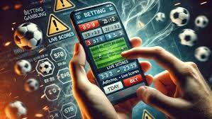transtogel Quick Bet interface overview transtogel Quick Bet interface overview